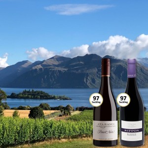 World-Class Pinot Noir Duo Case